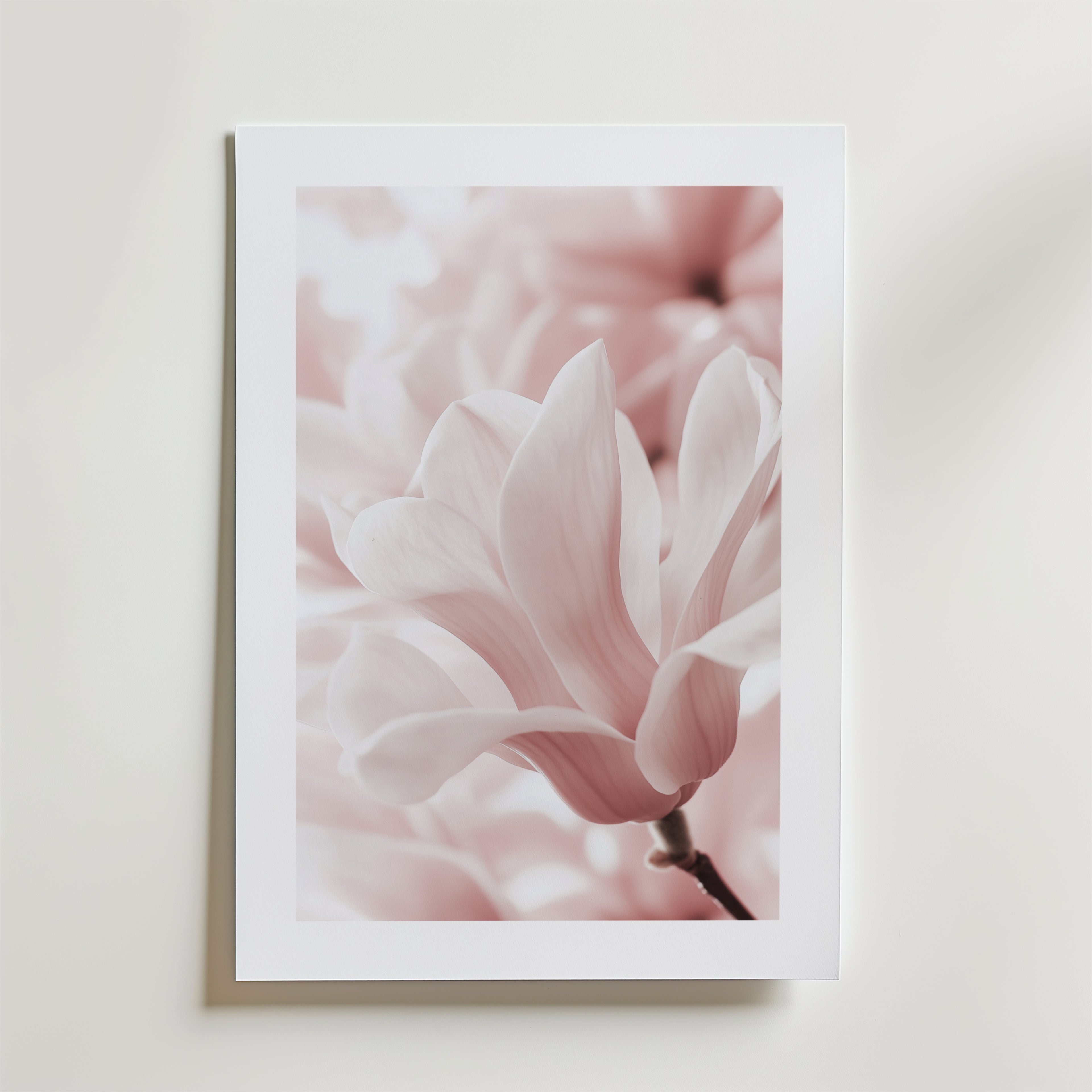 Blush Rose Magnolia Flower – stilfullt konsttryck från Bozetto, tryckt på matt finpapper