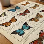 Butterfly Grid Poster – närbild på papper
