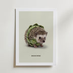Hedgechoke Poster – med passepartout