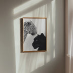 Leopard Meets Panther Poster – i rum 1
