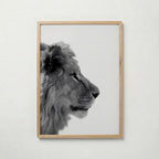 Lion In Profile Poster – ekram