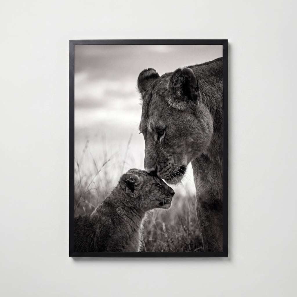 Lioness and Cub Poster – svart ram