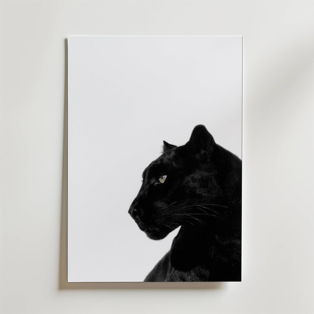 Bundle 3-pack Midnight Muse – kuraterad postercollection som lyfter hemmet hos Bozetto