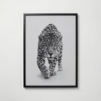Prowling Jaguar Poster – svart ram
