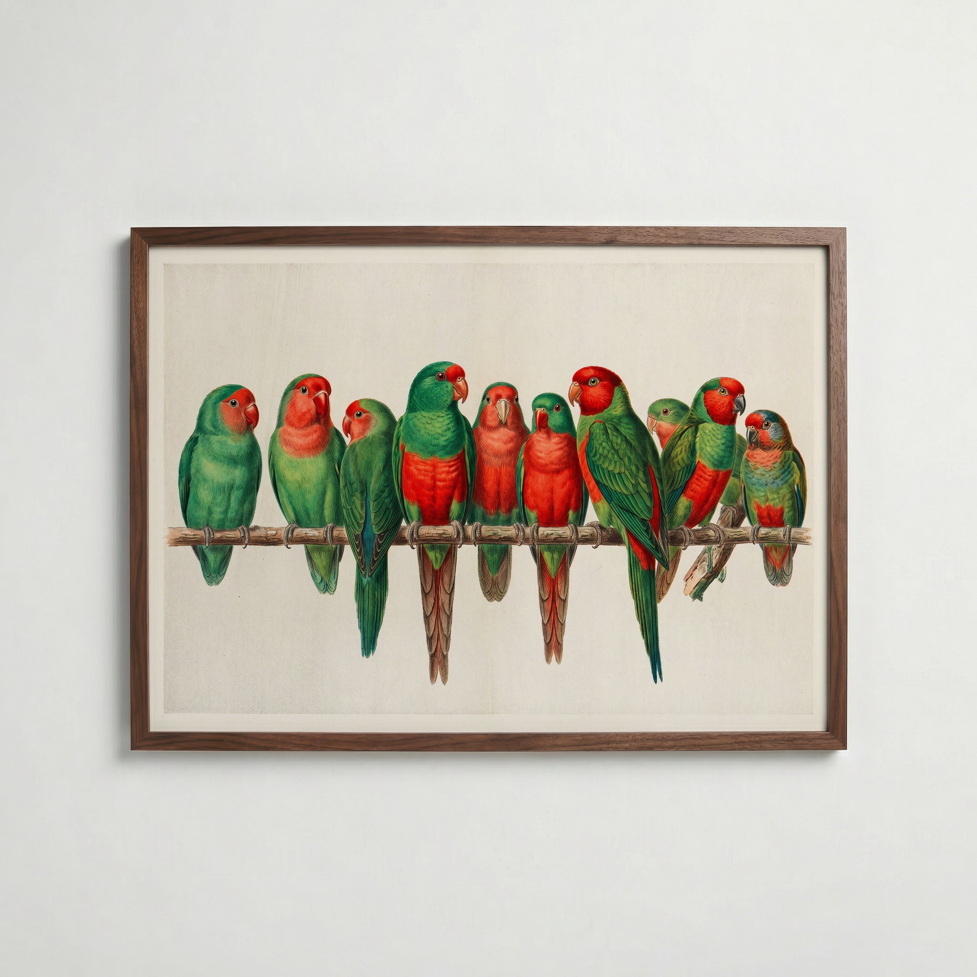 Scarlet Flock Poster i hemmiljö