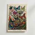 Tropical Lepidoptera Poster – botanisk vintage illustration med fjärilar och blommor