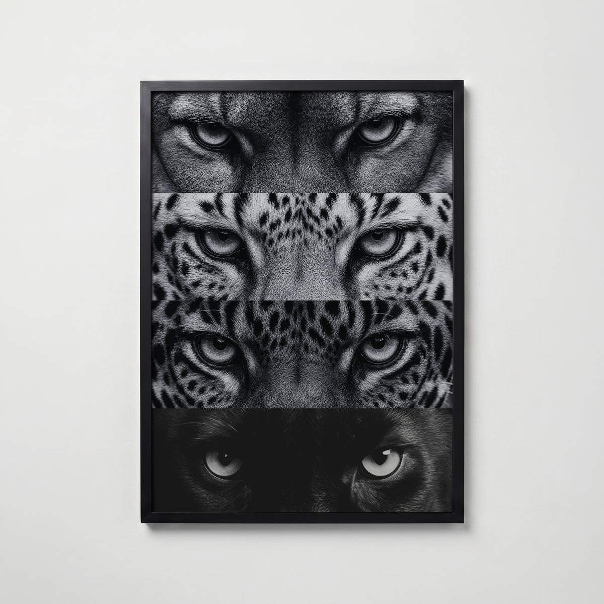 Four Wild Gazes Poster – svart ram