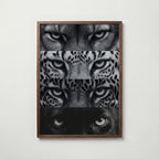 Four Wild Gazes Poster – valnötsram