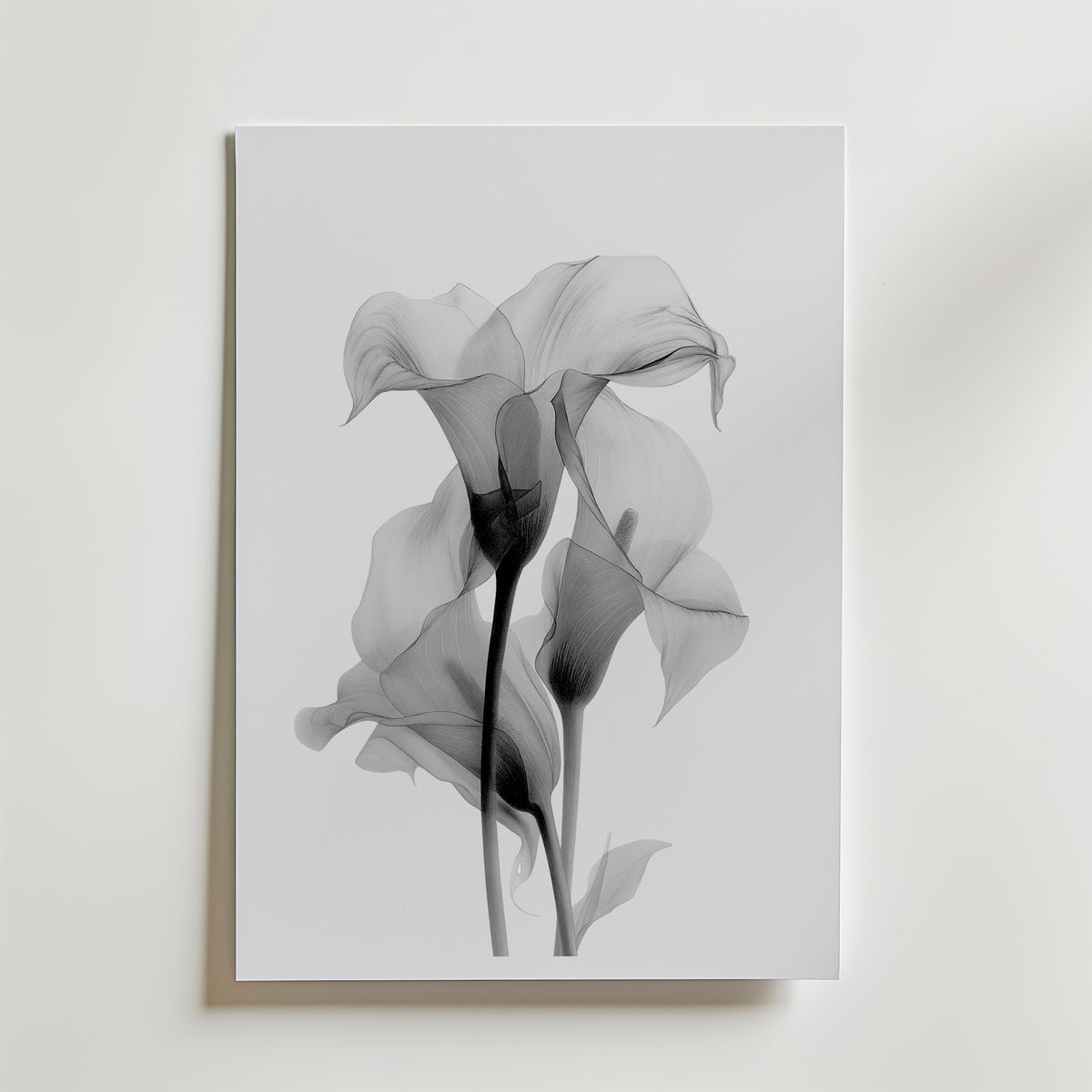 Translucent Calla Poster – canvas utan passepartout
