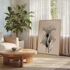 Translucent Calla Poster – i rum 1