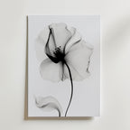 Veiled Poppy Bloom Poster – canvas utan passepartout