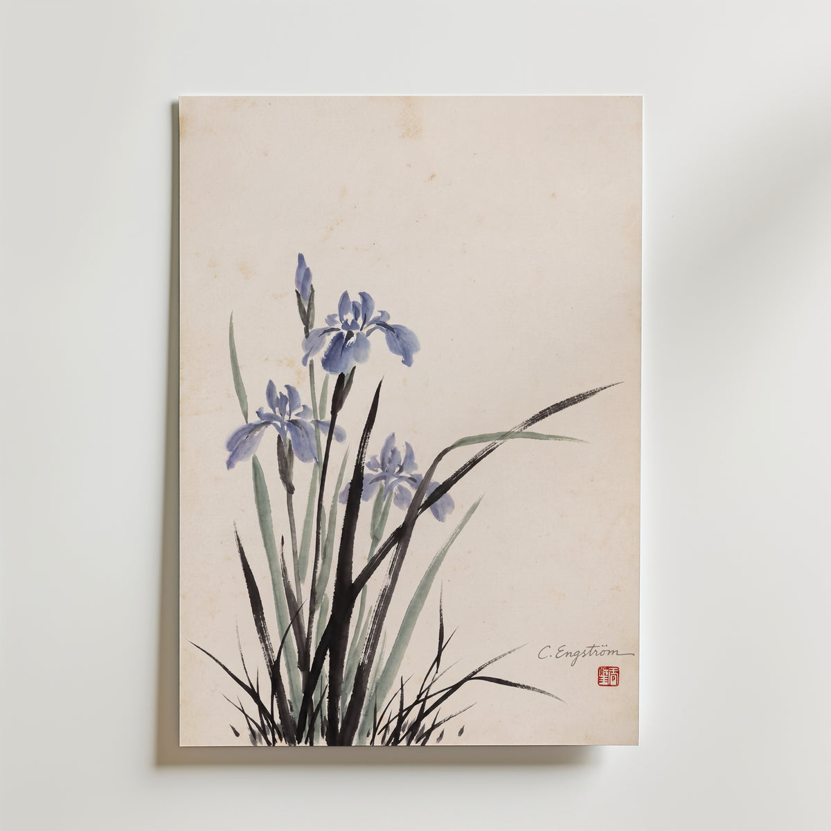 Iris By Caroline Engström – canvas utan passepartout