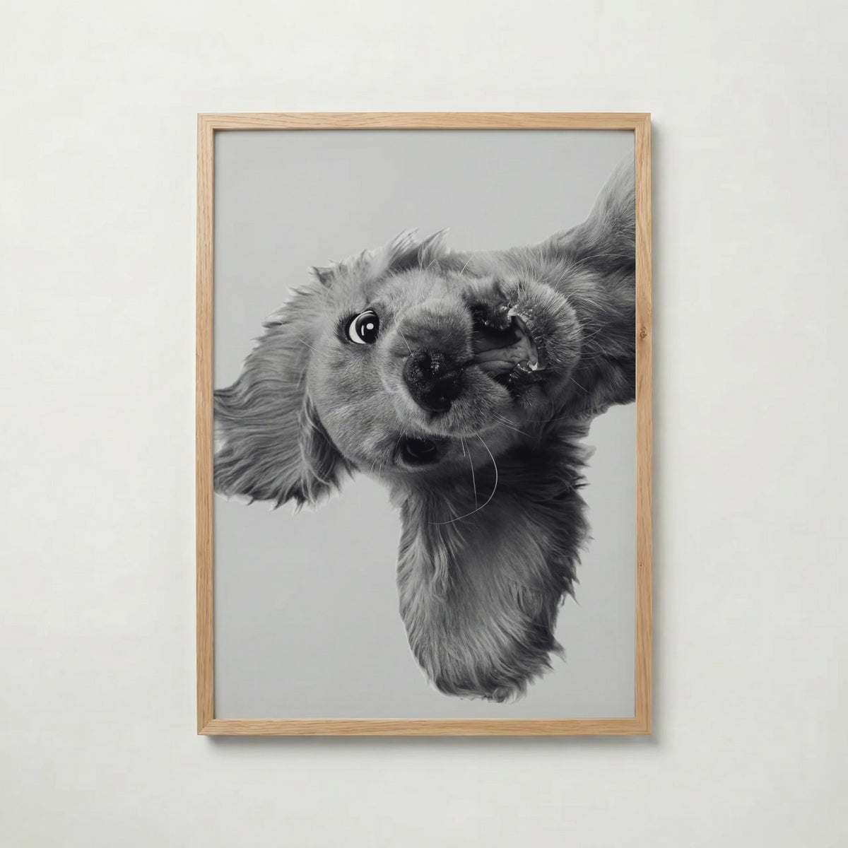 Puppy Play Poster – ekram